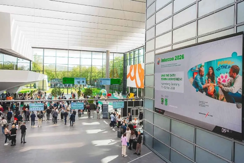 Top 5 Animals Exhibitions: Modern Solutions for Caring for Your Beloved Pets thumbnail