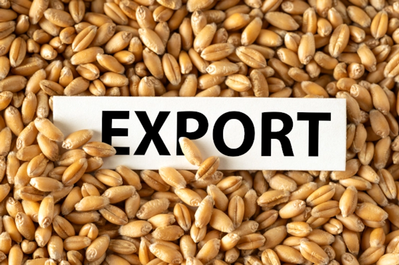 Russian Attacks on Ukrainian Ports Disrupt Global Food Exports thumbnail