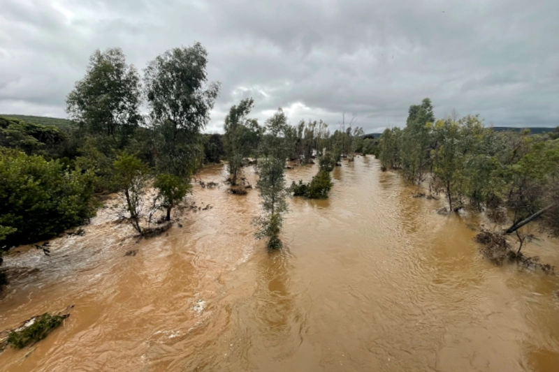 South African Floods Cause Over $230 Million in Agricultural Losses thumbnail