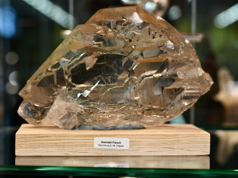 Trade show BERNER FOSSILIEN- UND MINERALIENBÖRSE