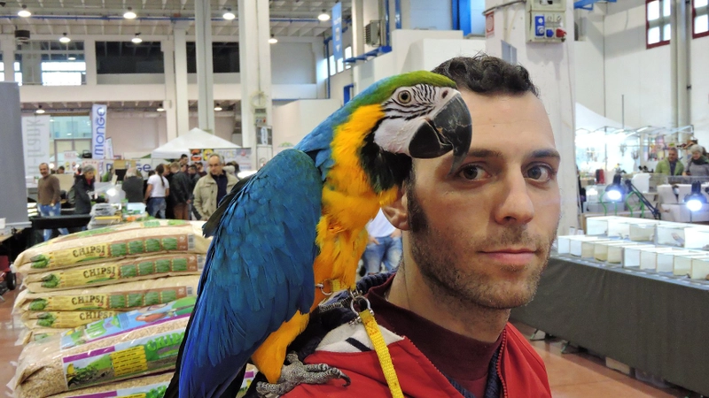 Exhibition ESOTIKA PET SHOW - MANTOVA