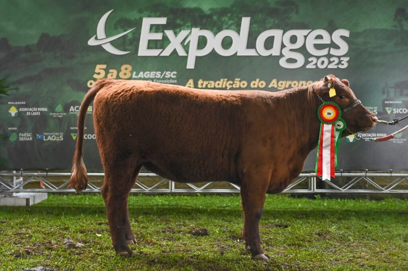 Exhibition EXPOLAGES