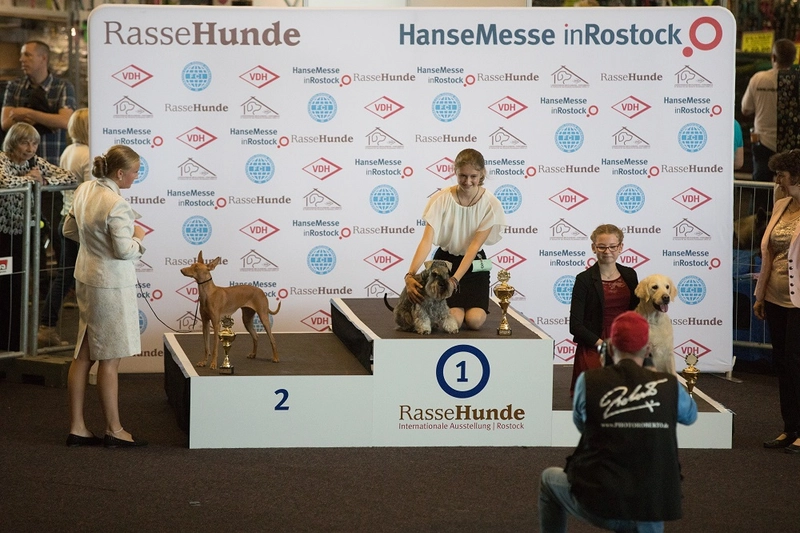 Show INTERNATIONALE RASSEHUNDEAUSSTELLUNG
