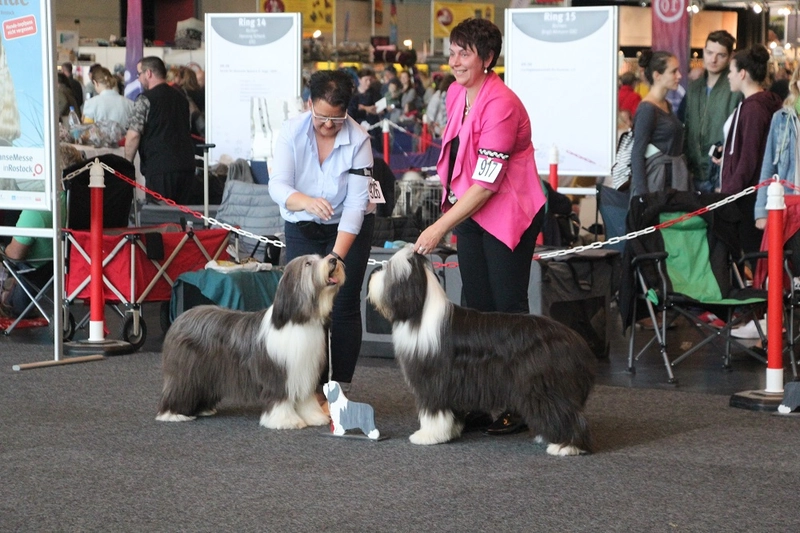 Trade show INTERNATIONALE RASSEHUNDEAUSSTELLUNG