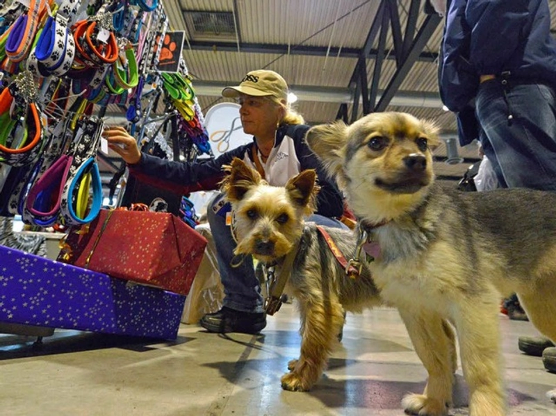 Trade show MEIN HUND - FREIBURG