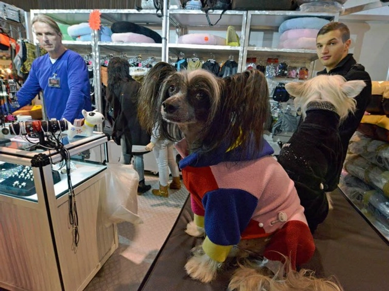 Exhibition MEIN HUND - FREIBURG