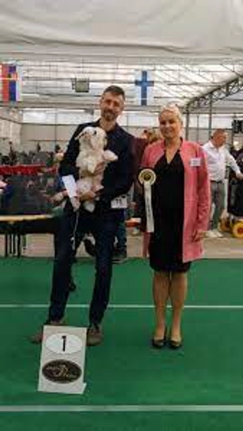 Show WALLONIA DOG SHOW