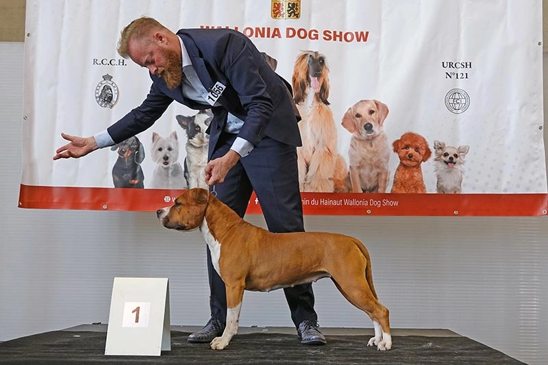 Trade show WALLONIA DOG SHOW
