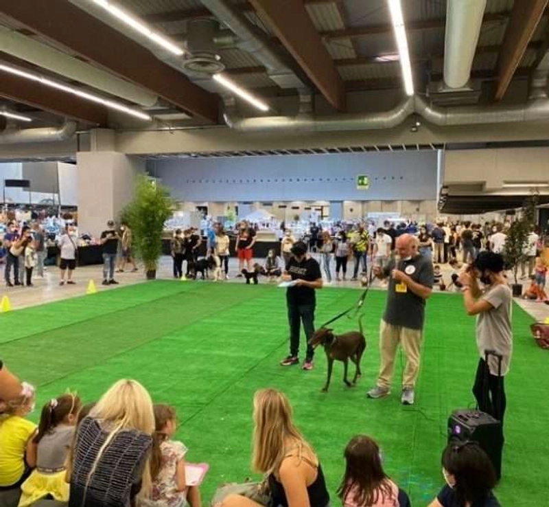 Exhibition ESOTIKA PET SHOW - BRESCIA