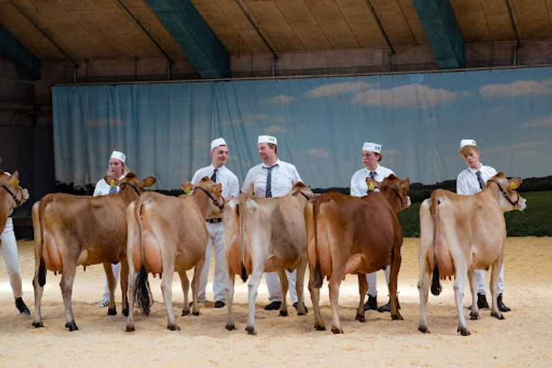Event LANDSSKUET - NATIONAL AGRICULTURAL SHOW