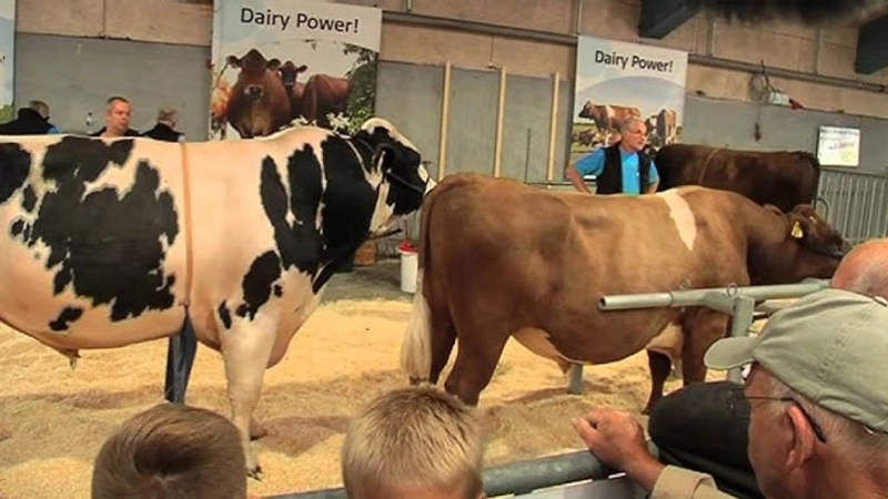 Show LANDSSKUET - NATIONAL AGRICULTURAL SHOW