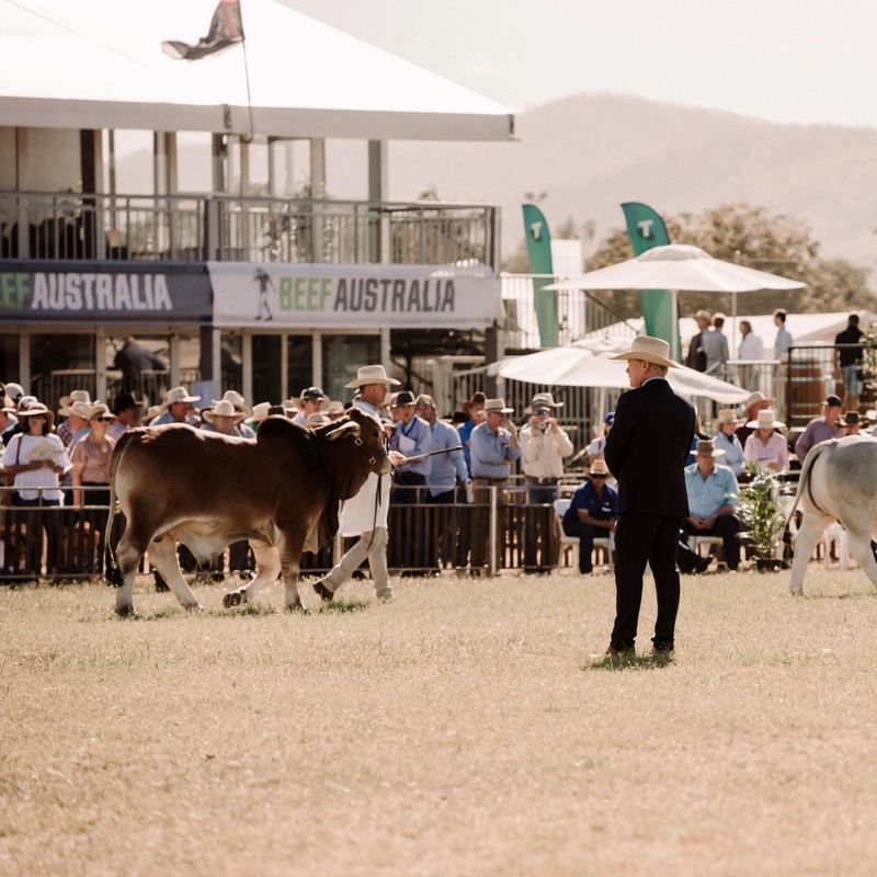 Exhibition BEEF AUSTRALIA