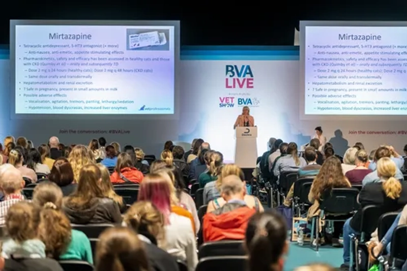 Event BVA LIVE