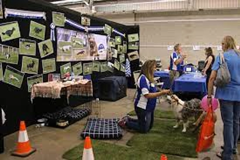 Trade show ANIMAL EXPO ADELAIDE