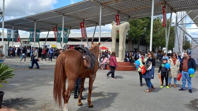 Show OVIBEJA