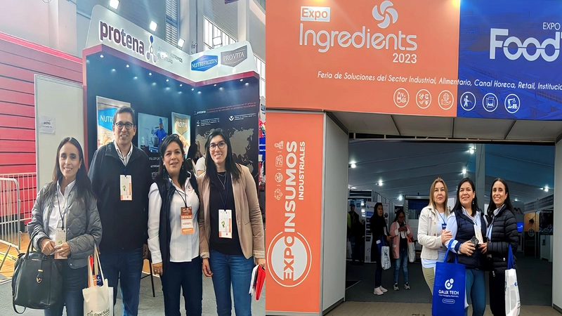 Show EXPO INGREDIENTS