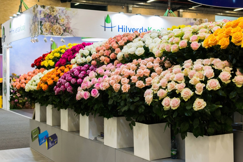 Show PROFLORA