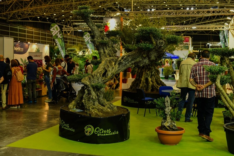 Show IBERFLORA