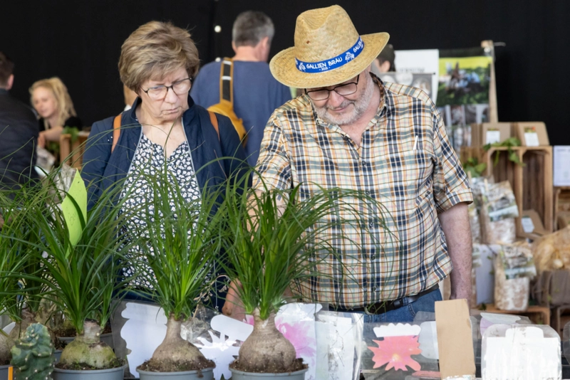 Show BLUEHENDES OESTERREICH - GARTENMESSE