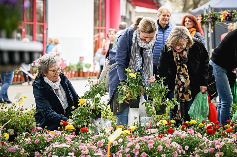 Trade show BLUEHENDES OESTERREICH - GARTENMESSE