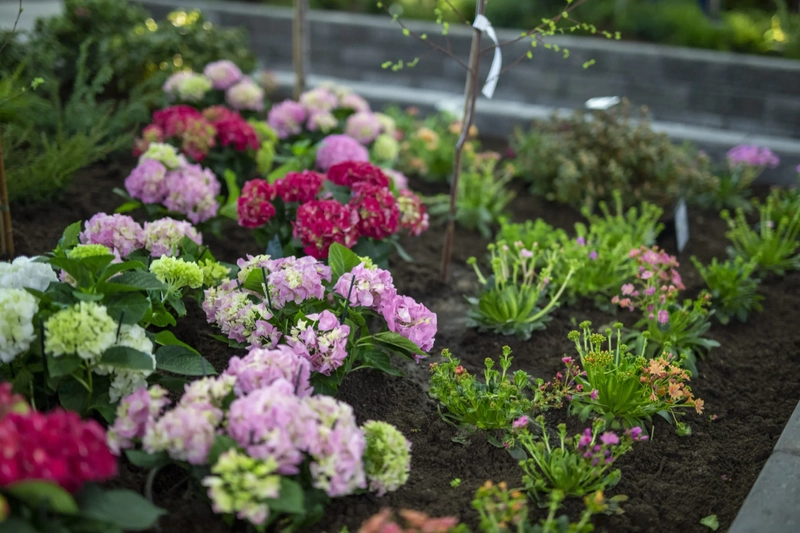Show KEVATMESSUT: KEVAT PUUTARHA - SPRING GARDEN