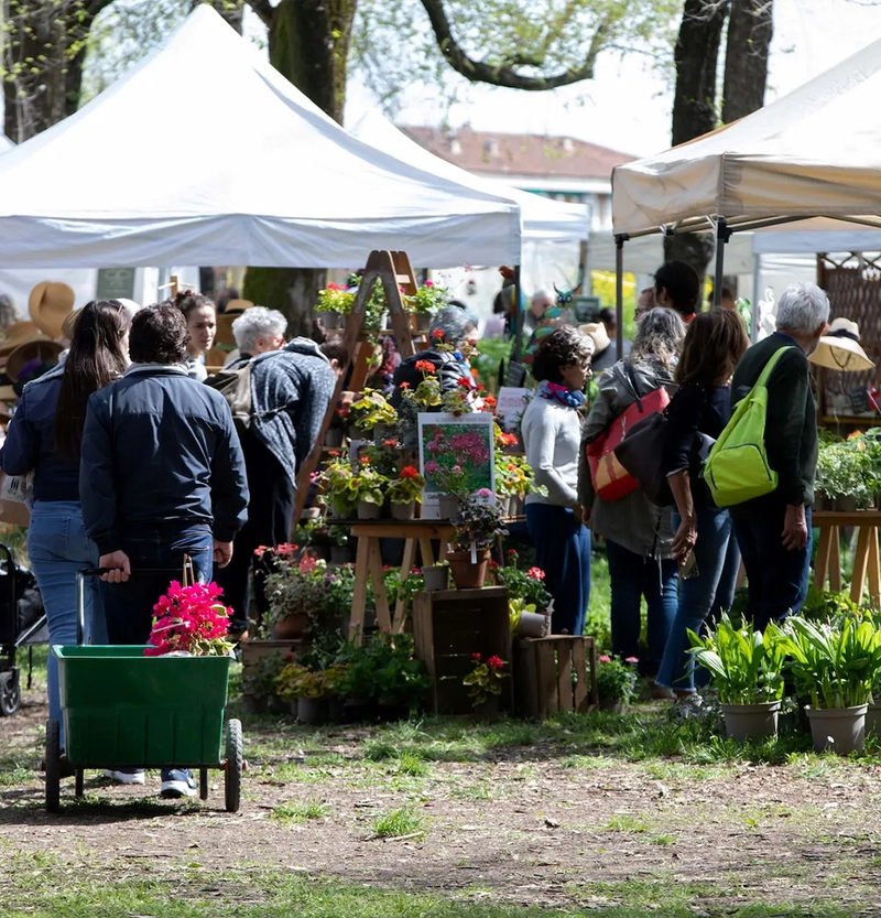 Event MURABILIA - MURAINFIORE