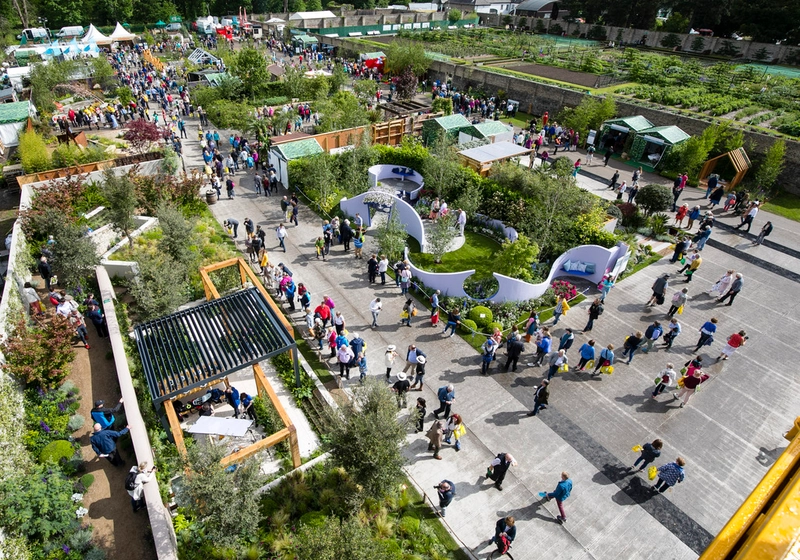 Show BORD BIA BLOOM