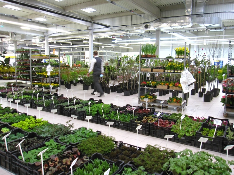 Trade show DNI ZIELENI - GREEN DAYS