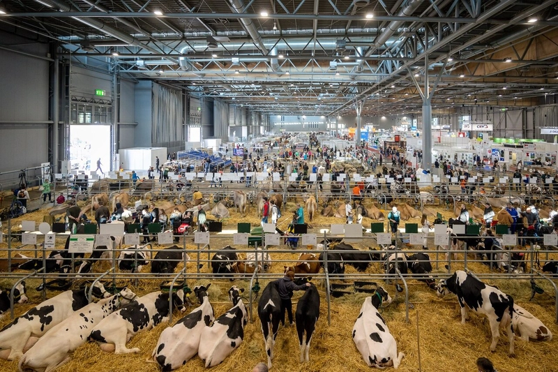 Show ANIMAL TECH