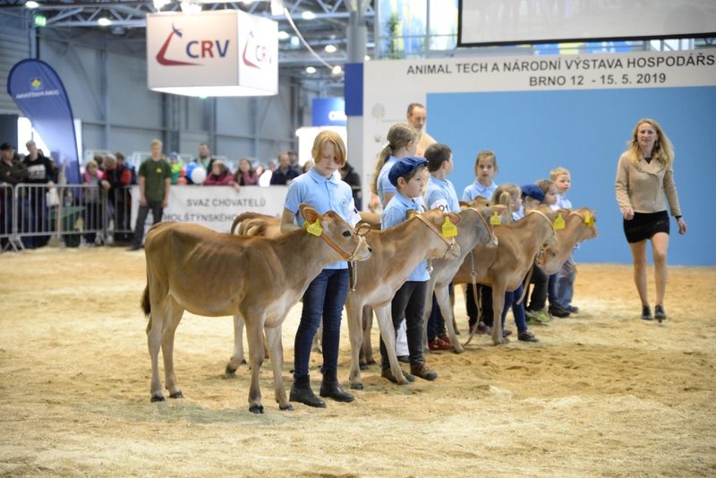 Exhibition ANIMAL TECH