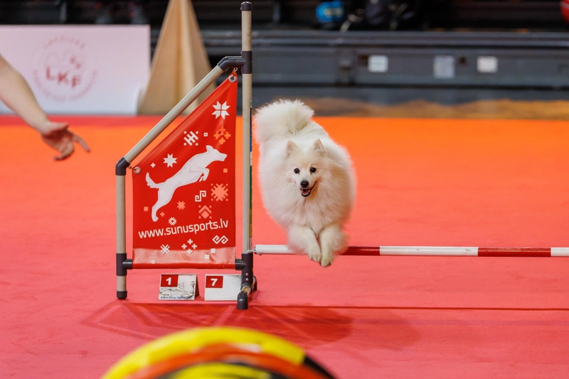 Event PET EKSPO