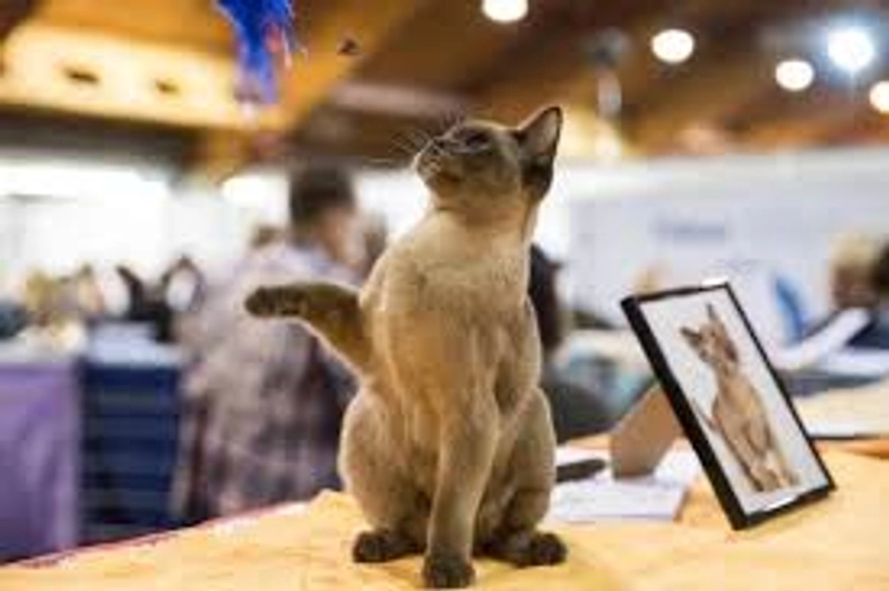 Trade show PET EKSPO