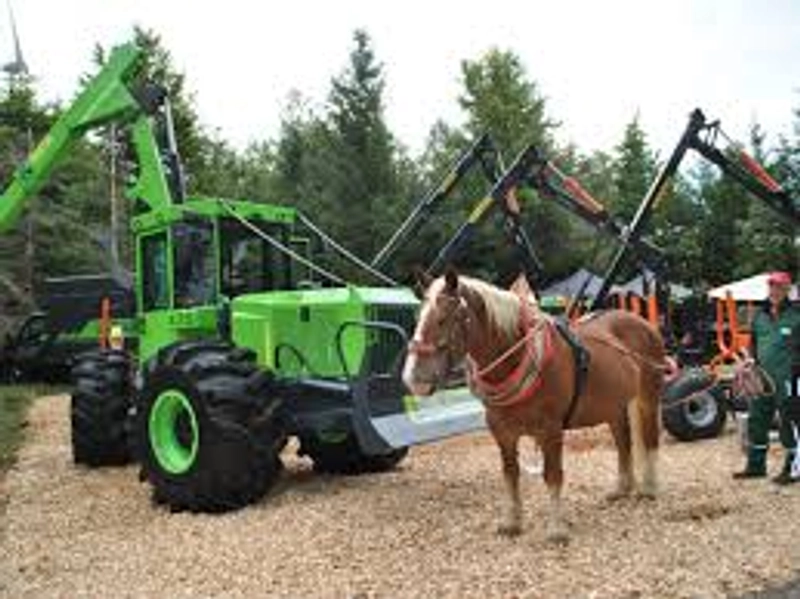 Trade show DLG-WALDTAGE
