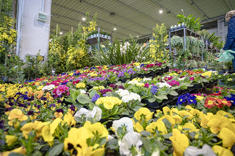 Trade show ORTO GIARDINO