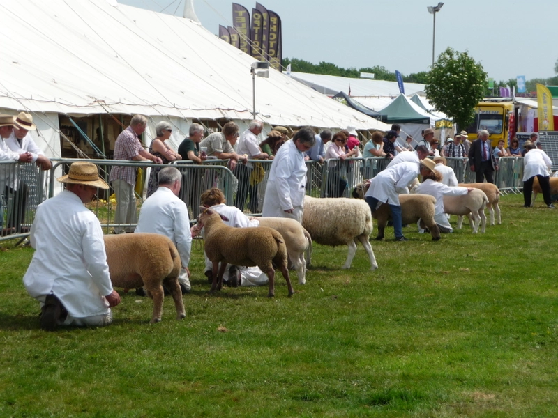 Trade show DEVON COUNTY SHOW