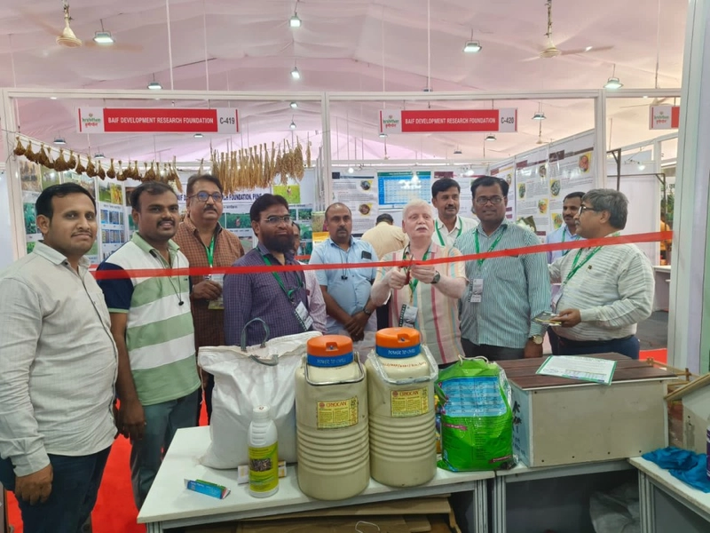 Exhibition KRISHITHON