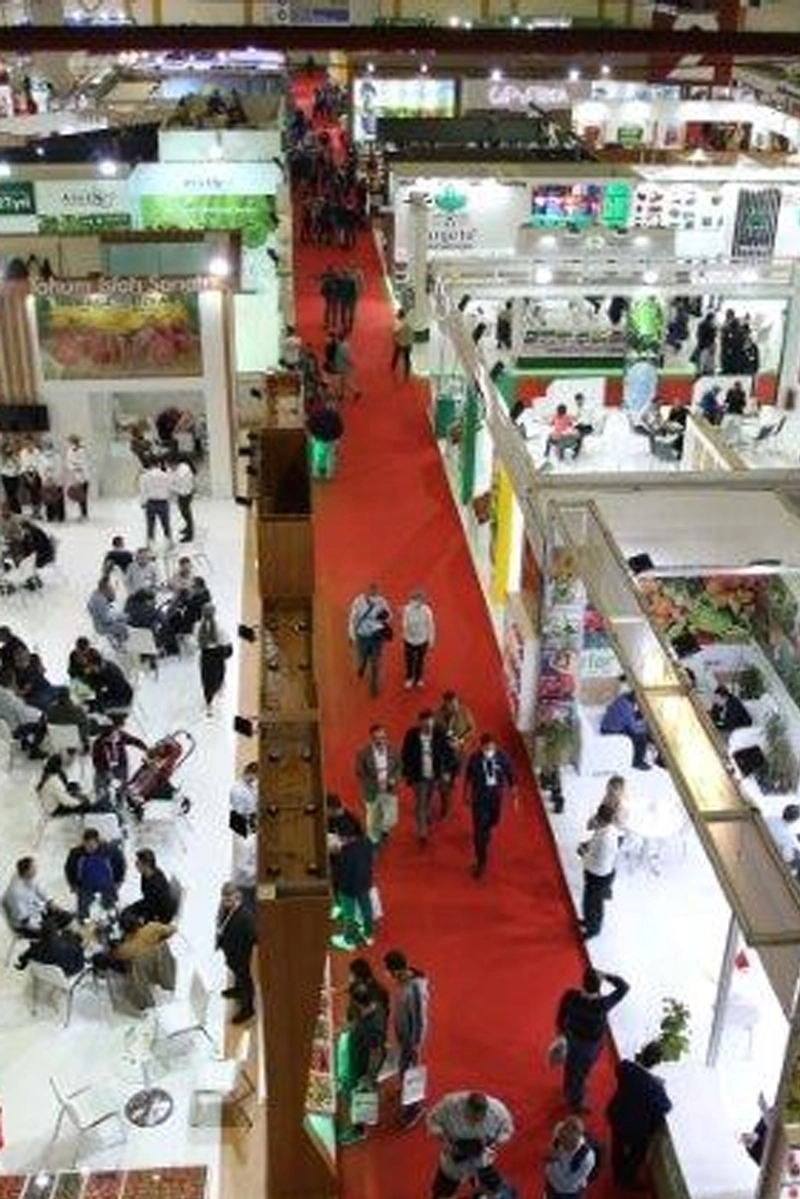 Event BAGRO-EX