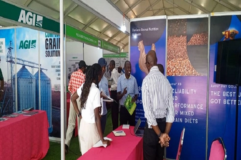 Show GRAINS AFRICA - TANZANIA