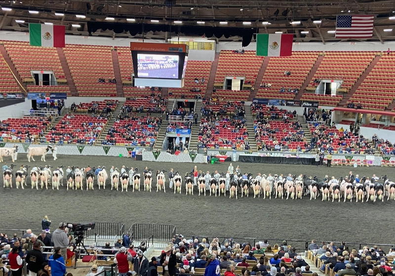Show World Dairy Expo