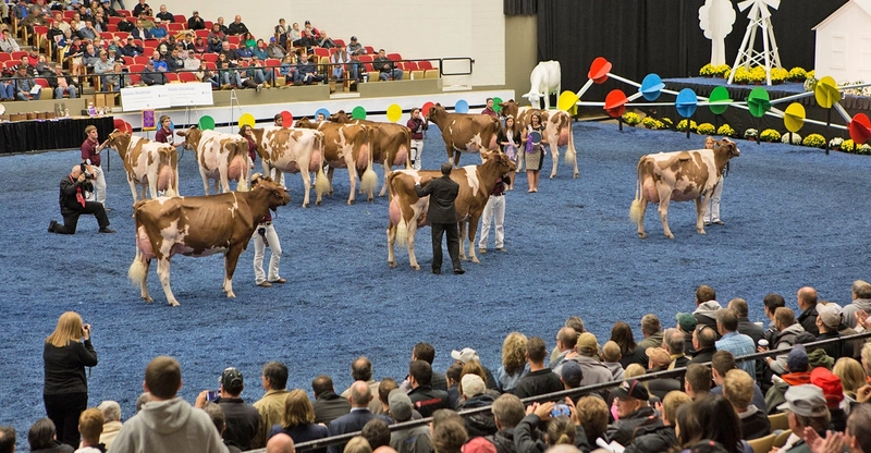 Trade show World Dairy Expo
