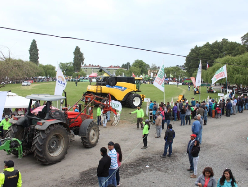 Exhibition Sago Fisur