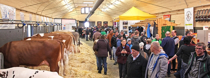 Show AgriMesse Thun 