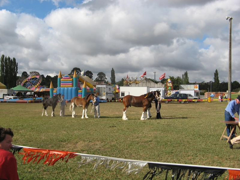 Show Warragul Show