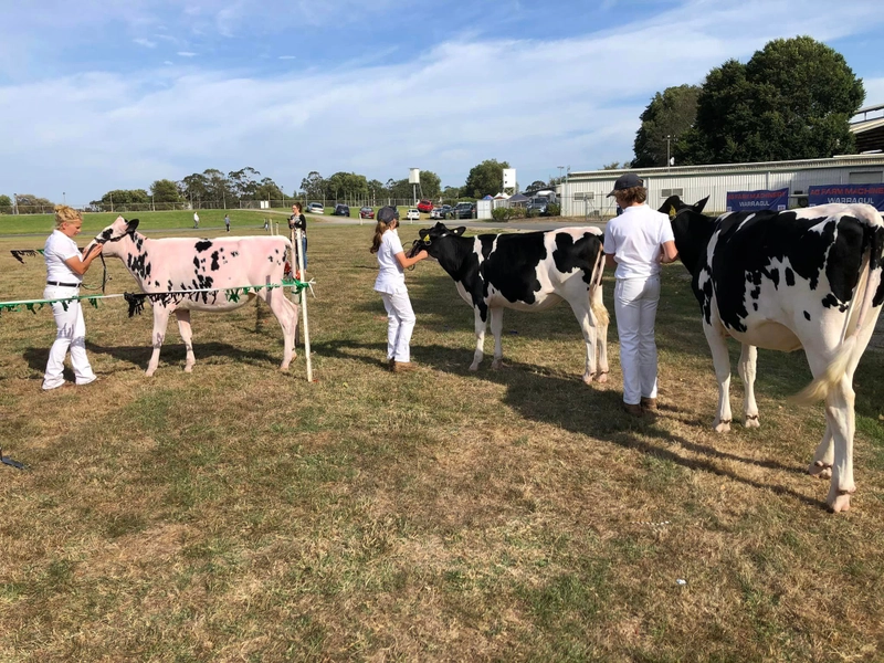 Trade show Warragul Show