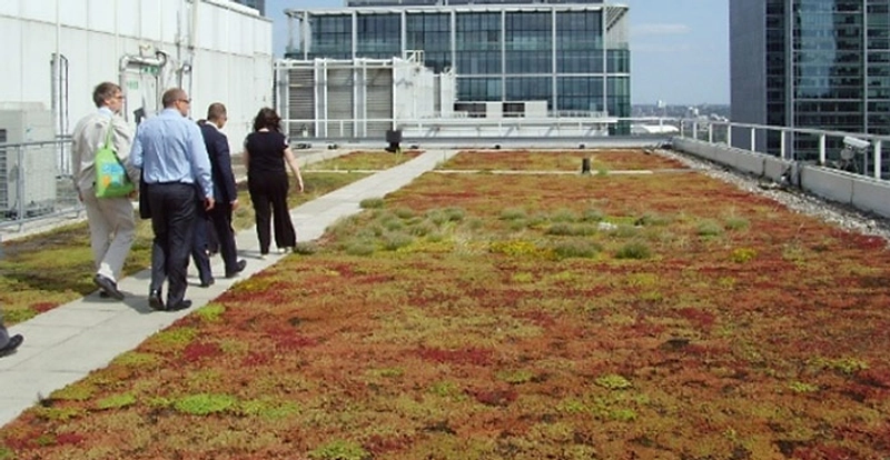 Event Build for Biodiversity