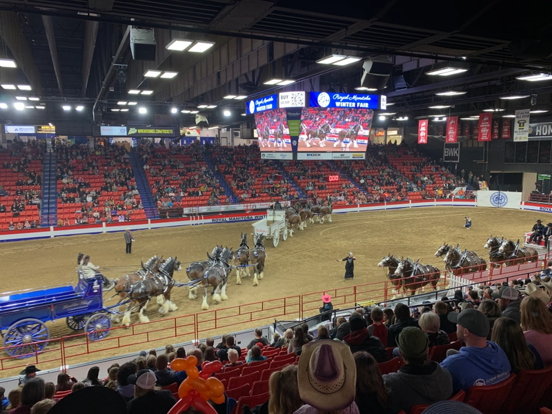 Event Royal Manitoba Winter Fair