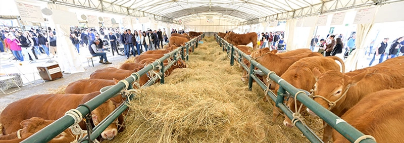 Show Agriumbria