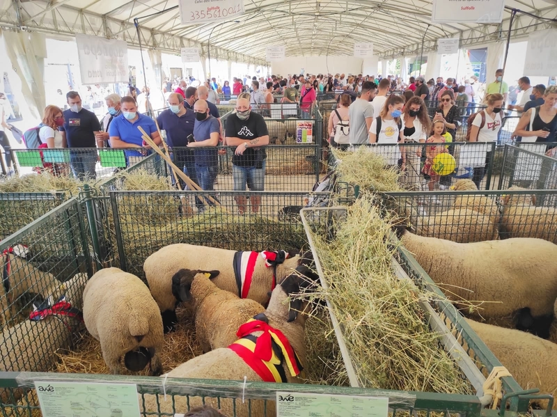 Trade show Agriumbria