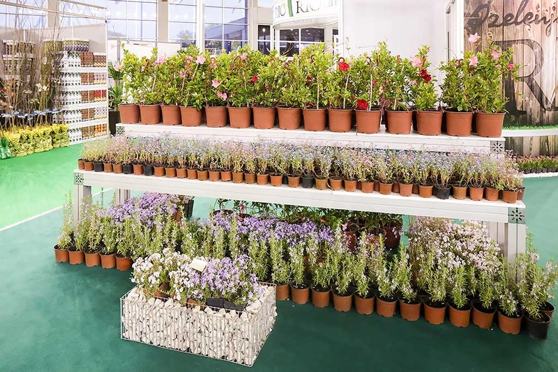 Show International Horticulture Fair - Beoplantfair 