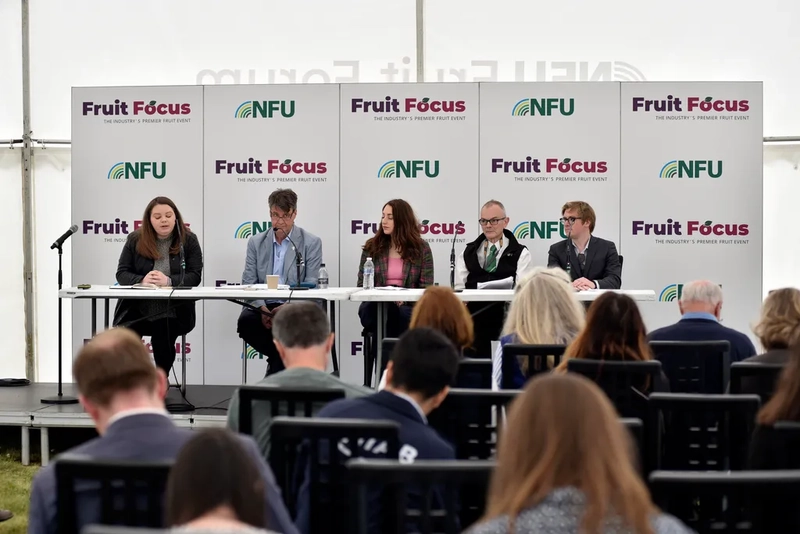 Event Fruit Focus